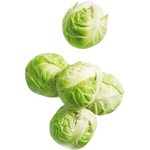 brussels sprout holland freshleaf dubai uae