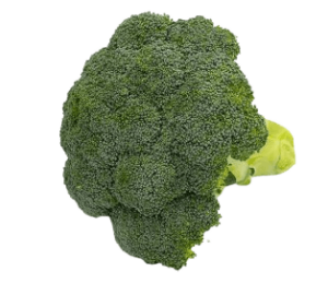 buy broccoli sanitized freshleaf uae