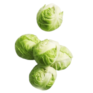 buy brussels sprout holland freshleaf uae