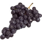 buy moscato grape black freshleaf dubai uae