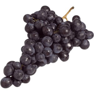 buy moscato grape black freshleaf dubai uae