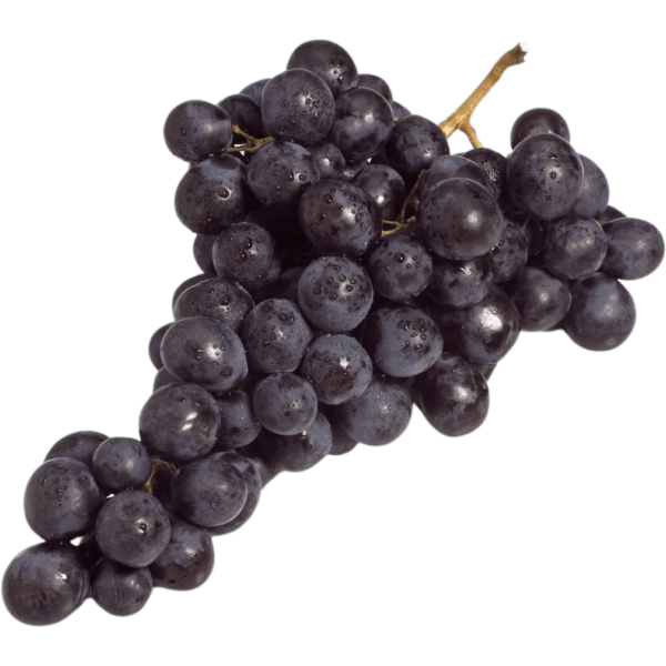 buy moscato grape black freshleaf dubai uae