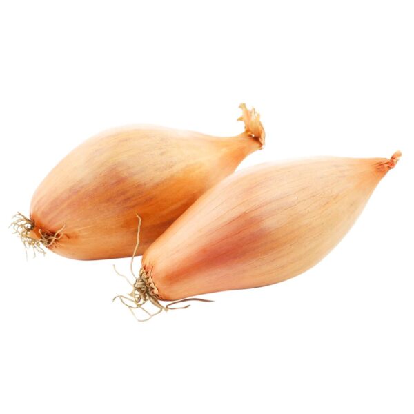 buy onion shallot banana dubai freshleaf uae