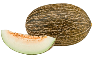 buy piel de sapo melon freshleaf uae