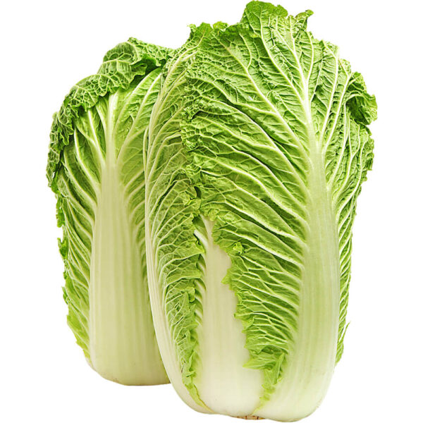 cabbage chinese freshleaf dubai uae