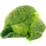 cabbage savoy holland freshleaf dubai uae