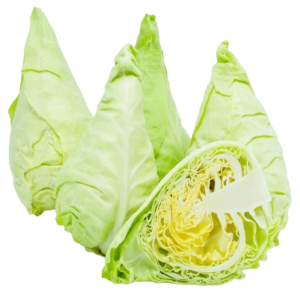 cabbage spring holland freshleaf uae