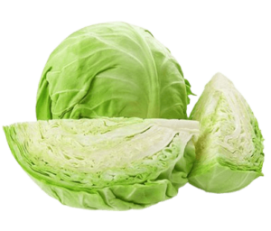 cabbage white organic freshleaf uae