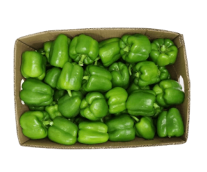 capsicum green box freshleaf uae