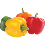 capsicum mix netherlands freshleaf dubai uae