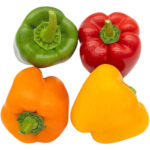 capsicum mix netherlands freshleaf dubai uae