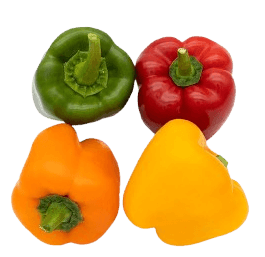 capsicum mix netherlands freshleaf uae