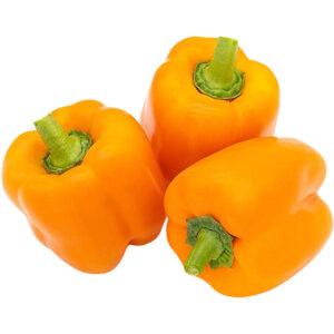 capsicum orange holland freshleaf dubai uae