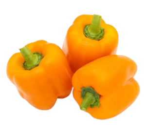 capsicum orange holland freshleaf uae