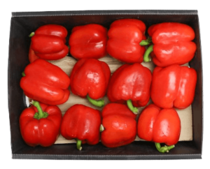 capsicum red box freshleaf uae