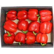capsicum red box iran freshleaf dubai uae