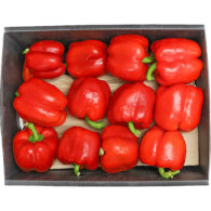 capsicum red box iran freshleaf dubai uae