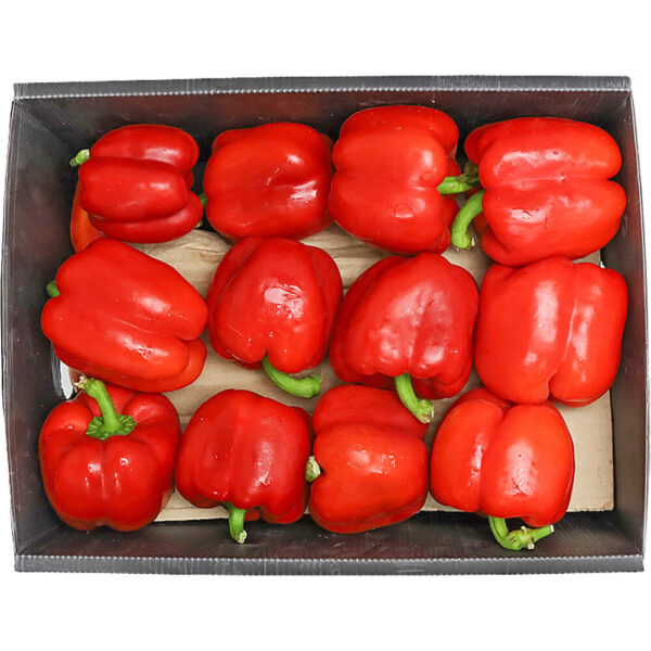 capsicum red box iran freshleaf dubai uae