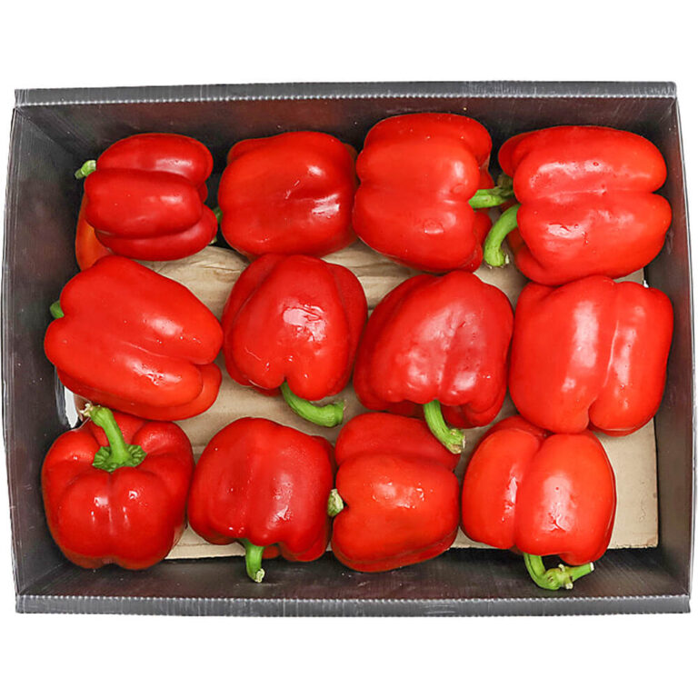 capsicum red box iran freshleaf dubai uae
