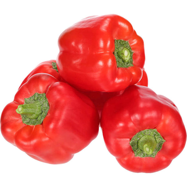 capsicum red sanitized Iran freshleaf dubai uae