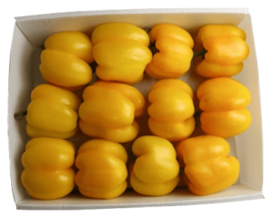 capsicum yellow box freshleaf uae