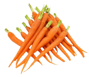 carrot baby with top freshleaf uae