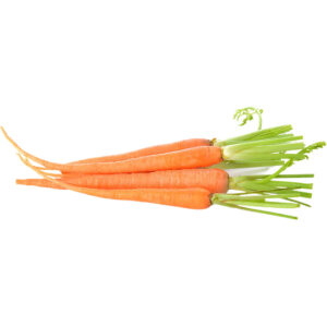 carrot baby with top south africa freshleaf dubai uae