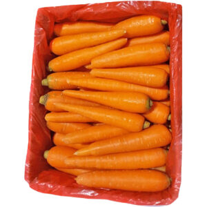 carrot box china freshleaf dubai uae