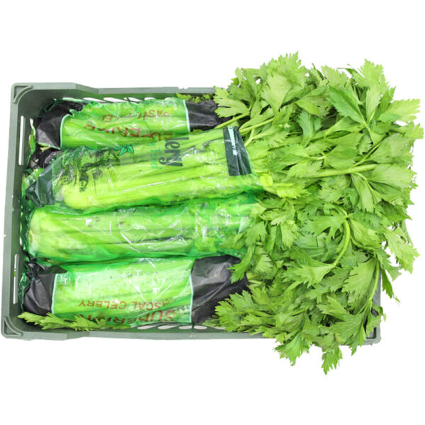 celery box iran freshleaf dubai uae