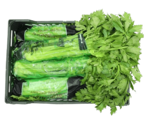 celery box iran freshleaf uae