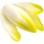 chicory white freshleaf dubai uae