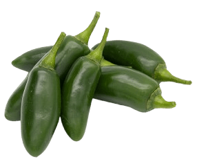 chilli jalapeno green holland freshleaf uae