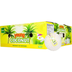 coconut box vietnam freshleaf dubai uae