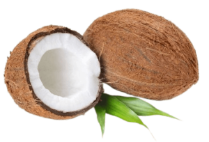 coconut dry india freshleaf uae