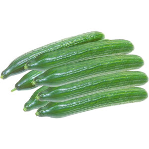 cucumber holland freshleaf dubai uae