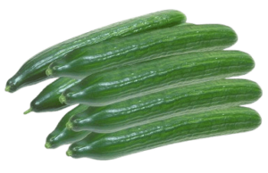 cucumber holland freshleaf uae