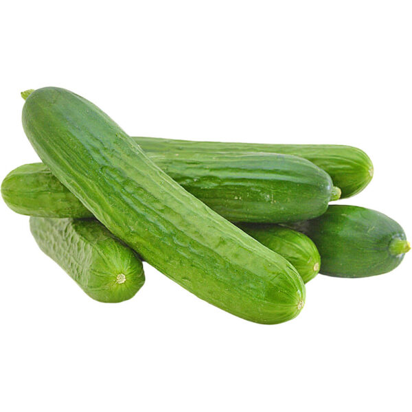 cucumber local uae freshleaf dubai uae