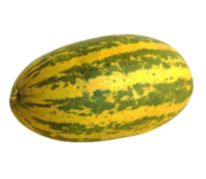 cucumber yellow vellari freshleaf uae