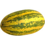 cucumber yellow vellari india freshleaf dubai uae