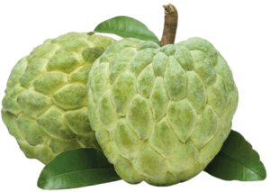 custard apple brazil freshleaf uae