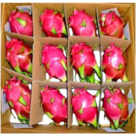 dragon fruit red box vietnam freshleaf dubai uae