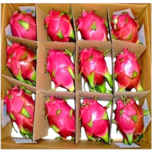 dragon fruit red box vietnam freshleaf dubai uae