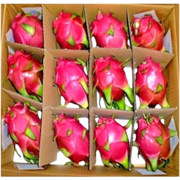 dragon fruit white box vietnam freshleaf dubai uae