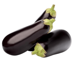 eggplant holland dubai freshleaf uae