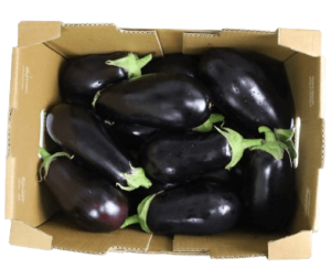 eggplant local box fresleaf uae