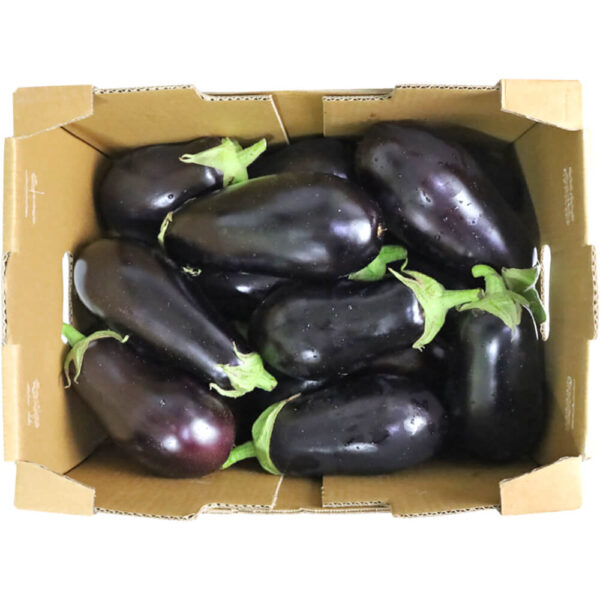 eggplant local box iran freshleaf dubai uae