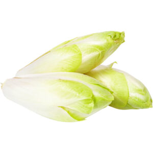 endives-white-chicory-freshleaf-dubai-uae