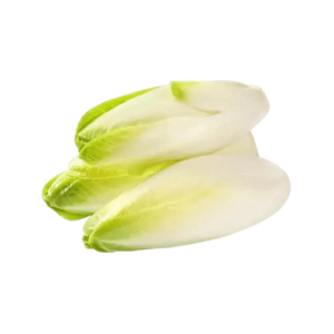 endives white chicory freshleaf uae