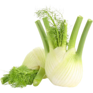 fennel holland freshleaf dubai uae