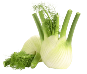 fennel holland freshleaf uae